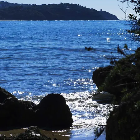 酒店 宁菲儿ii大酒店
