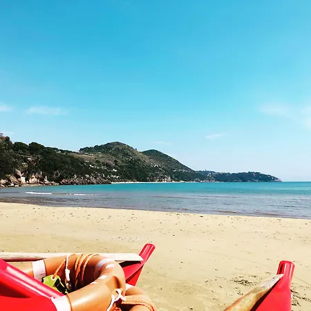 酒店 宁菲儿ii大酒店 加埃塔