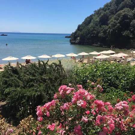 宁菲儿ii大酒店