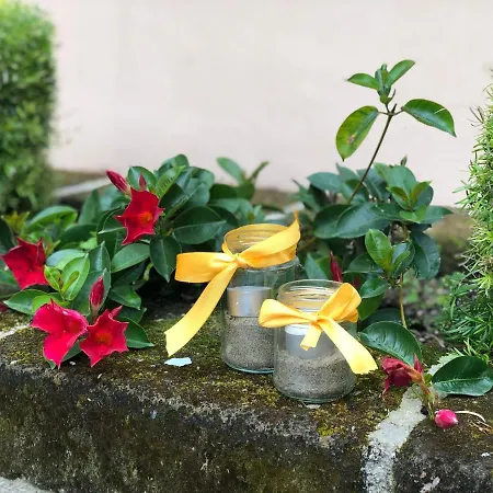 宁菲儿ii大酒店 4*